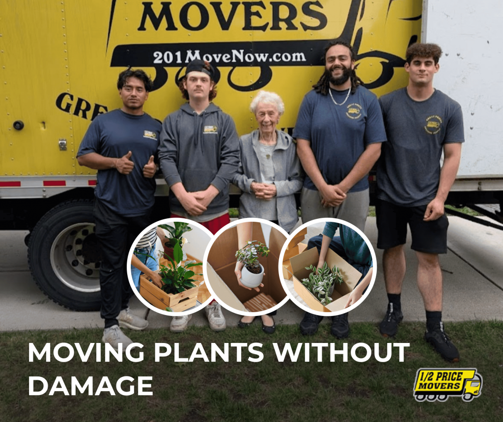 moving Plants